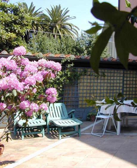 Vecchia Locanda ซาร์ซานา ภายนอก รูปภาพ